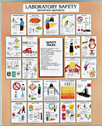 Laboratory Charts